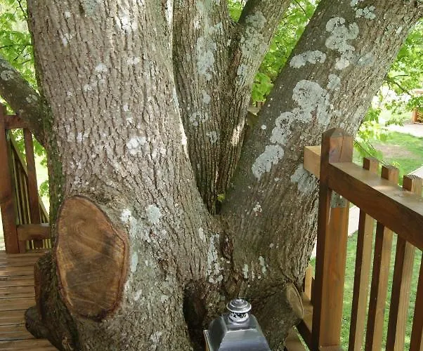 Les De Gros Bois Bed & Breakfast